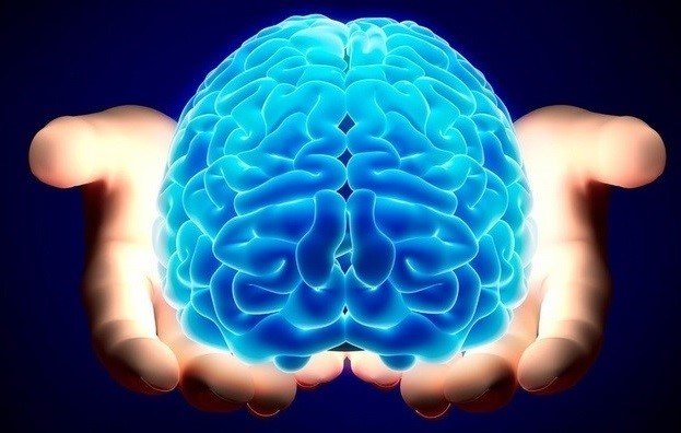 Cerveau et réseaux neuronaux