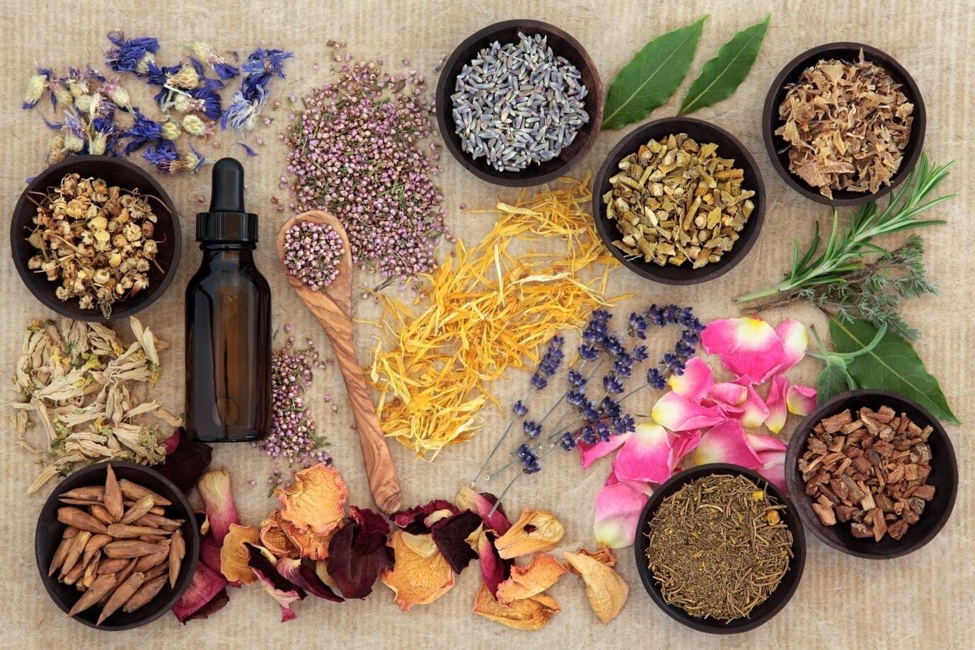 Plantes médicinales séchées — phytothérapie